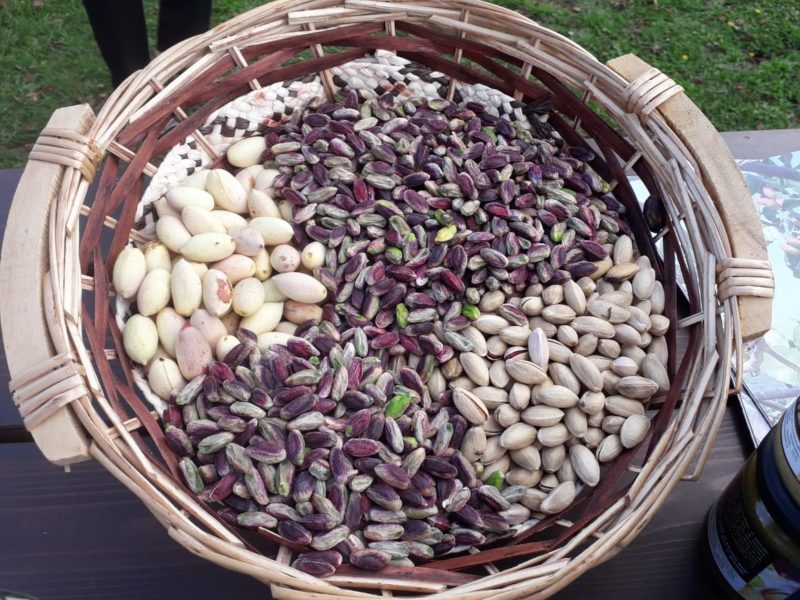 Pistacchio di Bronte